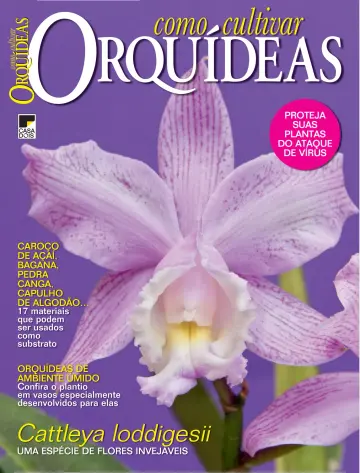 Como Cultivar Orquídeas - 31 10월 2023
