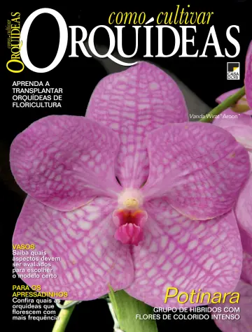 Como Cultivar Orquídeas - 23 Nov 2023