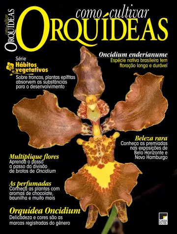 Como Cultivar Orquídeas - 31 Dec 2023