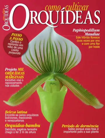 Como Cultivar Orquídeas - 26 1월 2024