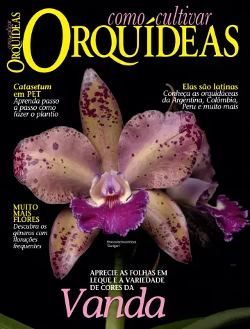 Como Cultivar Orquídeas - 19 2월 2024