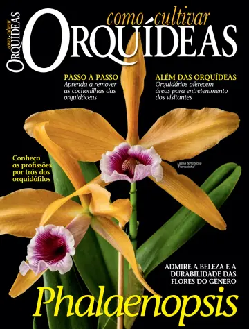 Como Cultivar Orquídeas - 26 3월 2024