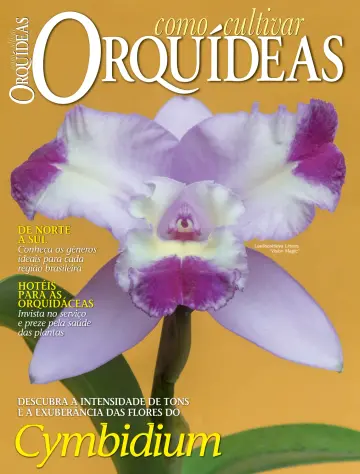 Como Cultivar Orquídeas - 16 Aib 2024