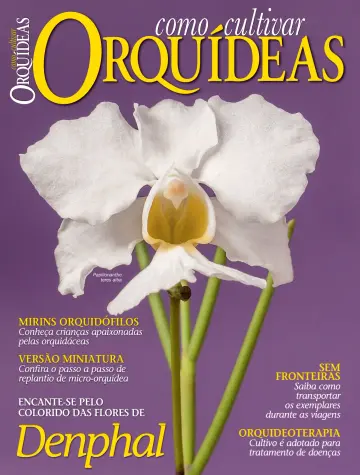 Como Cultivar Orquídeas - 24 maio 2024