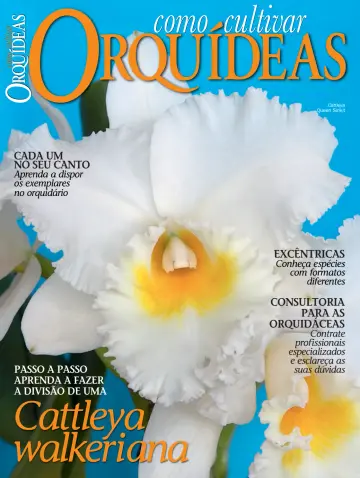 Como Cultivar Orquídeas - 18 六月 2024