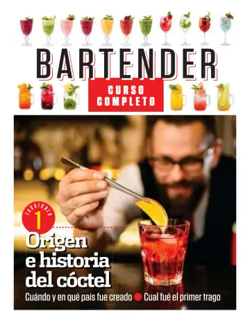 Bartender - 19 Jan 2021