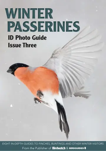 Bird ID Photo Guides - 9 Dec 2022