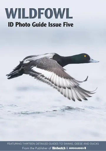 Bird ID Photo Guides - 10 Feb 2023