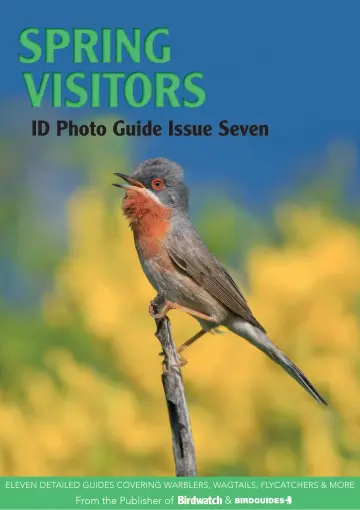 Bird ID Photo Guides - 14 Apr 2023