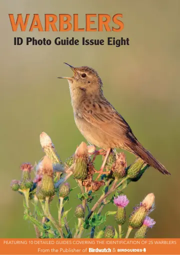 Bird ID Photo Guides - 12 May 2023