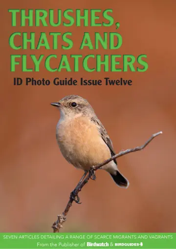 Bird ID Photo Guides - 8 Sep 2023