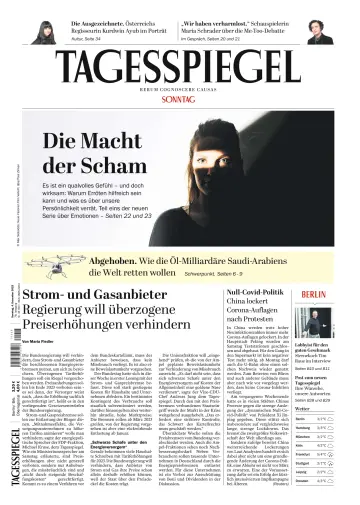 Der Tagesspiegel - 04 十二月 2022