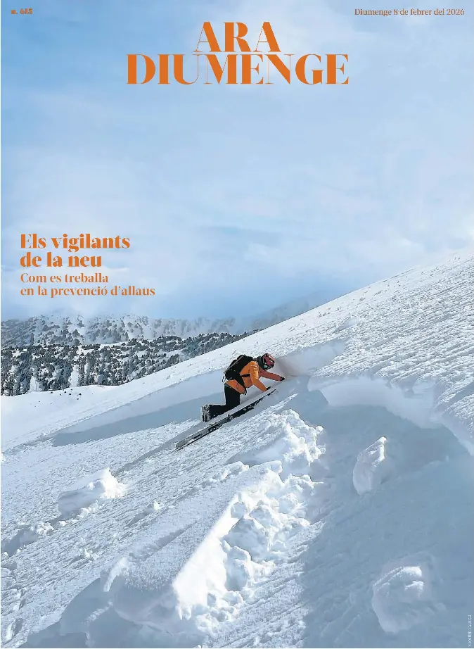 ELS VIGILANTS DE LA NEU