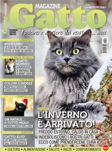 Gatto Magazine - 12 十一月 2021