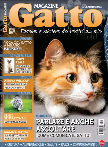 Gatto Magazine - 15 Mar 2022
