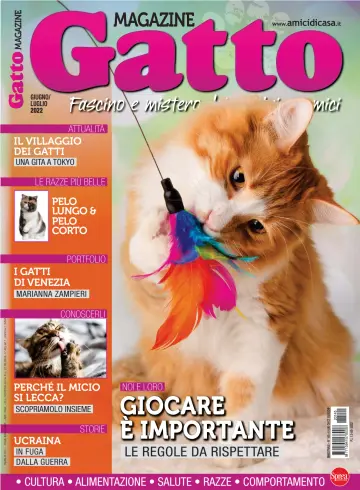 Gatto Magazine - 13 5月 2022