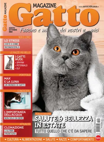 Gatto Magazine - 15 7月 2022
