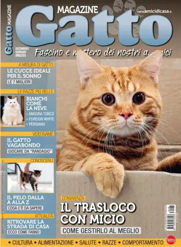 Gatto Magazine - 15 nov. 2022