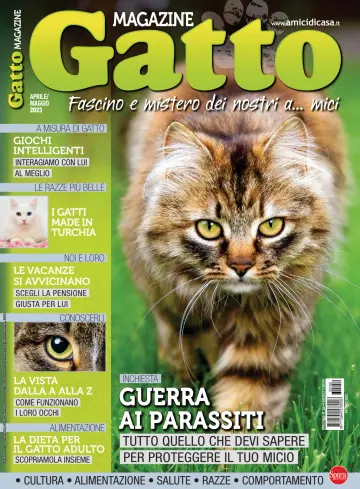 Gatto Magazine - 15 3月 2023
