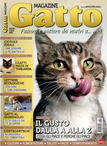 Gatto Magazine - 12 mayo 2023