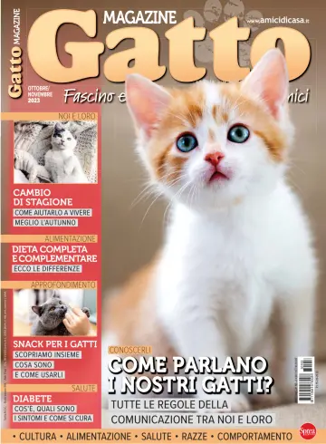 Gatto Magazine - 15 九月 2023