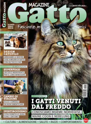 Gatto Magazine - 15 nov. 2023