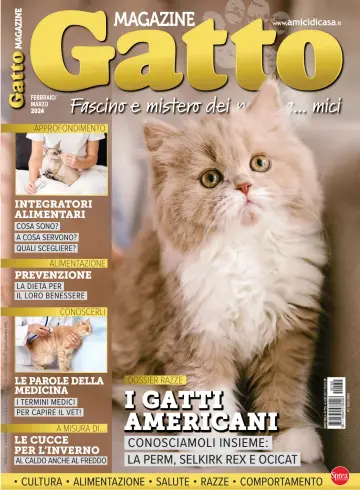 Gatto Magazine - 16 gen 2024
