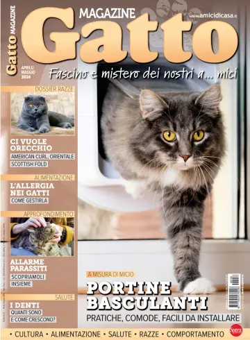 Gatto Magazine - 15 Mar 2024