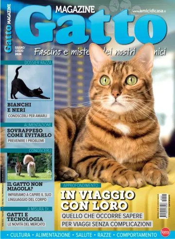 Gatto Magazine - 10 Mai 2024