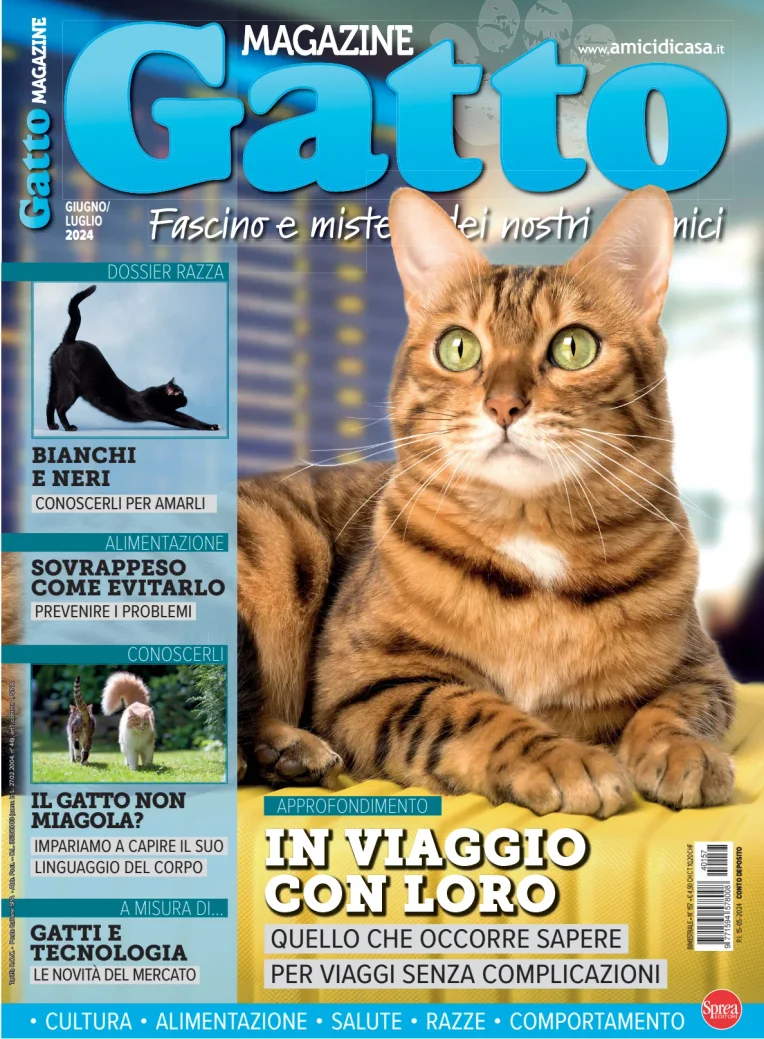 Gatto Magazine