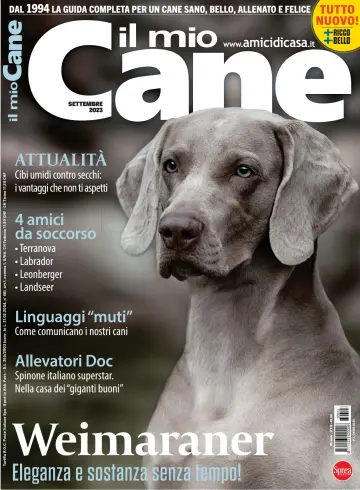 Il Mio Cane - 04 Ağu 2023