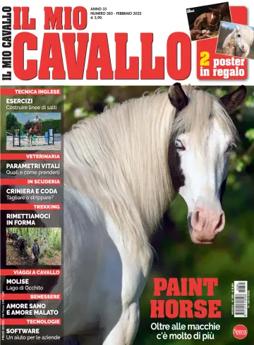 Il Mio Cavallo - 28 enero 2022
