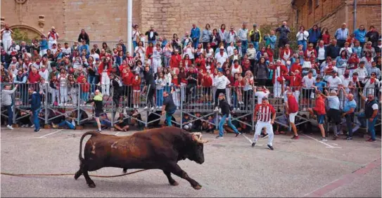 EL TORO ENSOGADO REINA EN LODOSA