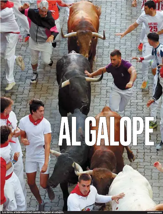 AL GALOPE
