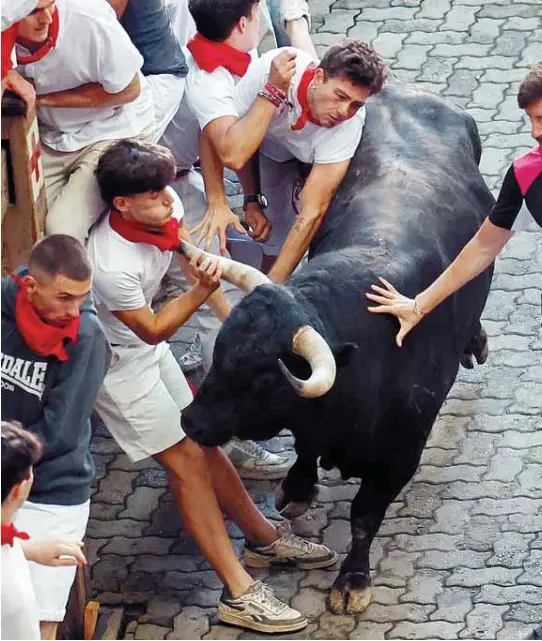 CON EL PITÓN AL CUELLO