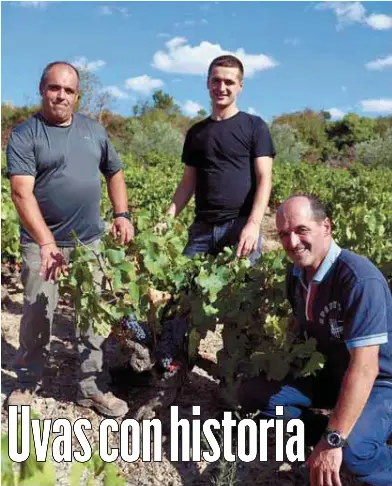UVAS CON HISTORIA