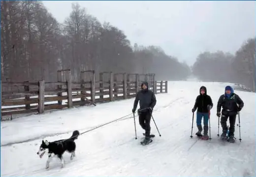NIEVE GENEROSA EN EL PIRINEO