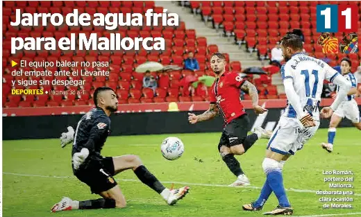 JARRO DE AGUA FRÍA PARA EL MALLORCA