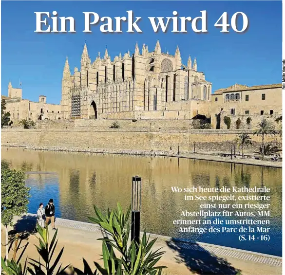 EIN PARK WIRD 40