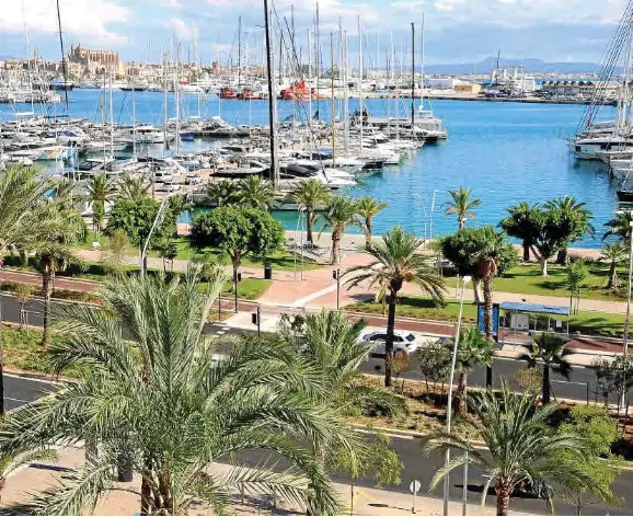 GRÜNE LUNGE AM BLAUEN MEER