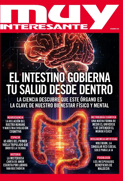 EL INTESTINO GOBIERNA TU SALUD DESDE DENTRO
