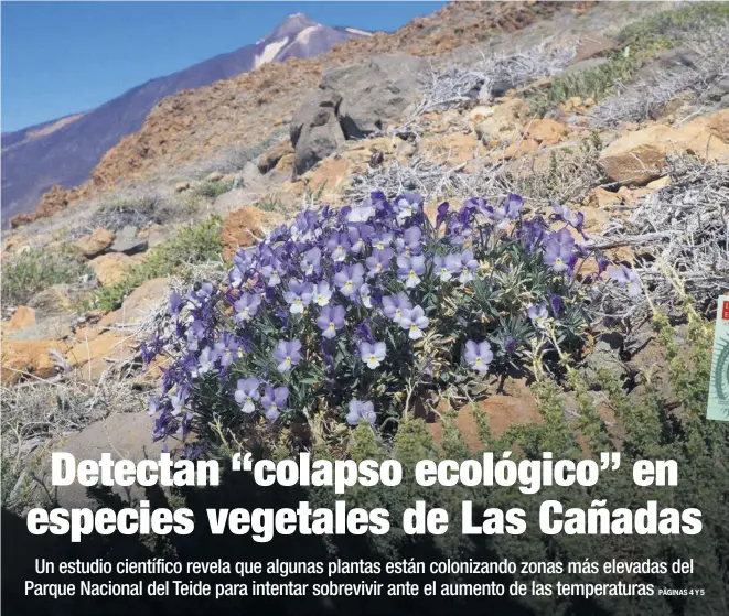 DETECTAN “COLAPSO ECOLÓGICO” EN ESPECIES VEGETALES DE LAS CAÑADAS