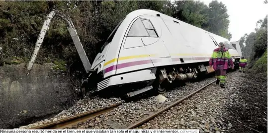 DESCARRILA UN TREN EN FOZ AL ARROLLAR DOS CABALLOS