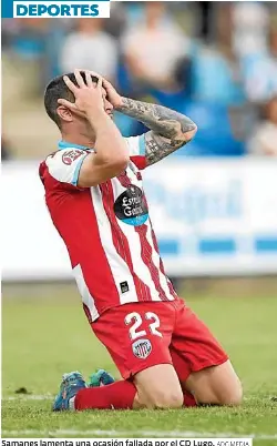 UN LUGO GRIS CAE EN TALAVERA