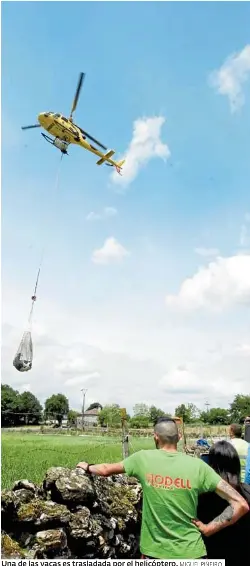 ESPECTACULAR RESCATE EN HELICÓPTERO DE LAS NOVILLAS EN TABOADA