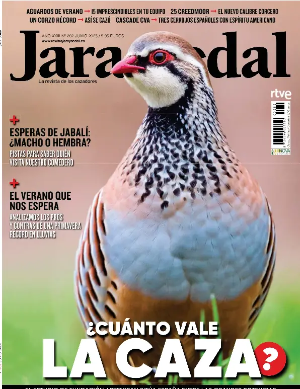 ¿CUÁNTO VALE LA CAZA