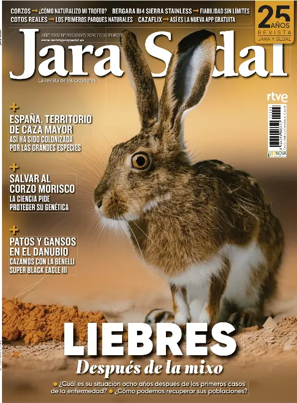 LIEBRES DESPUÉS DE LA MIXO