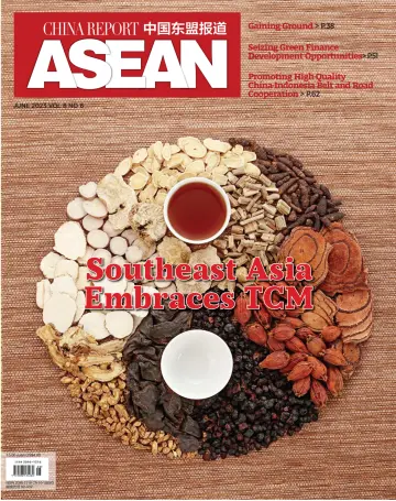China Report (ASEAN) - 10 juin 2023