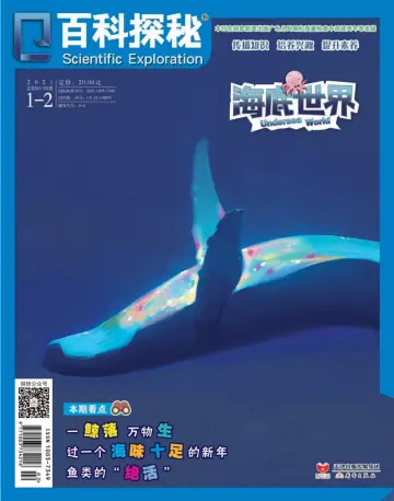 百科探秘•海底世界 - 1 Jan 2021