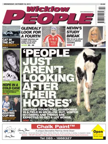 Wicklow People - 16 Oct 2013